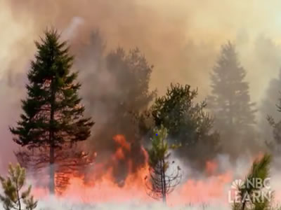 <p>Something on Earth is always burning! NASA's Earth Observatory tracks wildfires across the world with <a href="http://earthobservatory.nasa.gov/GlobalMaps/view.php?d1=MOD14A1_M_FIRE" target="_blank">maps available for viewing</a> from 2000-present. Some wildfires can restore <a href="/earth/ecosystems.html&edu=elem&dev=">ecosystems</a> to good health, but many can threaten human populations, posing a natural disaster threat.</p>
<p>Check out the materials about natural disasters in <a href="/earth/natural_hazards/when_nature_strikes.html&edu=elem&dev=">NBC Learn Videos</a>, and their earth system science connections built up by the related secondary classroom activities.</p><p><small><em>NBC Learn</em></small></p>